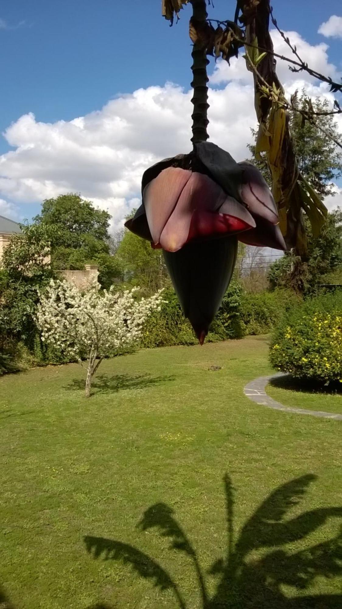 B&B Casa Hernández San Lorenzo  Kültér fotó